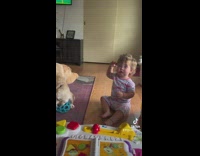 Baby told not to hit dog screams 