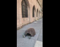 Man lie down on the vent covered with blanket