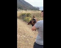 Dog tired of walking carried by woman