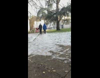 2 boys ask filmer if she can buy them a vape 