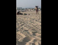 Girl black bikini hold hair pose beach