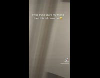 Guy accidentally scares restaurant worker out of bathroom