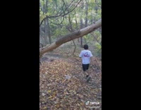 Collab BitchIG2 - Guy throws shovel in the woods and walks away and jumps into hole 