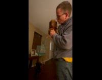 Pet dog reveals teeth when kissed by the father
