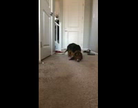 Collab BitchMP - Accept, it went viral on twitter but she deleted it