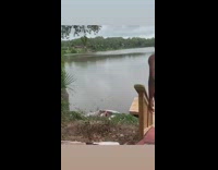 Collab VIBES - Girl swings on rope tied to tree branch and falls into a boat