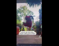 Collab BitchIG2 - Person in red robe walking through house 