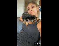 Small black dog climbs woman