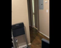 Collab ClipsIG - Dog stands and opens door like human 