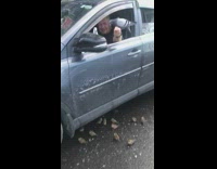 Man in drivers seat has bird sitting on hand outside of window