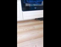 Collab PLC - Tabby cat crawl in space under cabinet