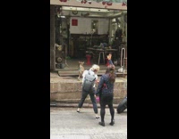 Lady photographs dog 