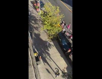 Girl disco ball head catwalks down sidewalk 