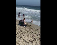 Woman in bikini sits on the beach shore