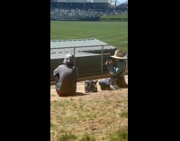 Woman films man talk at baseball stadium