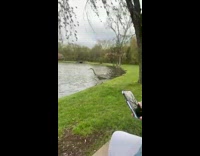 Long neck bird trips into pond and walks away