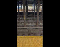 Sneakers on train tracks 