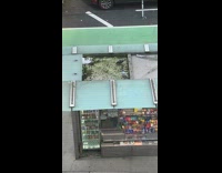Birds walking around in water on top of newspaper stand