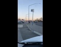 Wild moose breathes out cold smoke walks on the sidewalk