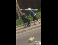 Grandma pushes other grandma in green walker 