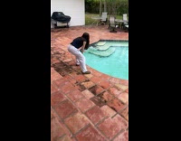 Ladies get rid of iguana from pool