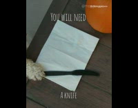 White dog pumpkin carving tutorial vacuum