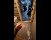 Tree got broken split in three ways