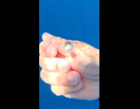 Diver underwater release tiny pufferfish from hand