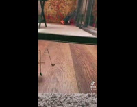 Little robot machine toy is let go and jumps in circles