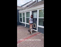 Collab Clips MPUGC - Dead rats inside of pool water