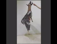 Brown dog in silver batman cape jumps up for treat