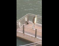 Black shirt guy dog pose bridge dock