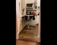 Collab BitchMP - Small black white rat tries to jump onto ironing board fail