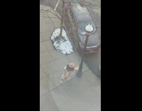 Girl takes self timer photos by lamppost 