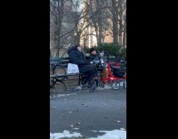 Old couple sit on bench with pigeons