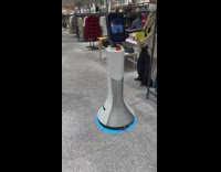 Assistant bot roams around the department store
