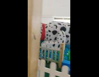 Large dalmatian tunnel kids play area mall 