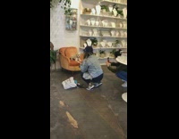 Dog orange chair distraction jewelry display