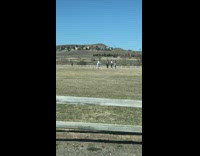 Four girls do jump pose for photo 
