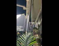 Collab WINY - Rat climbs the tube while it rains