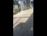 Collab BitchIG2 - 3 dogs run at girl full speed