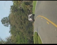 Dog behind truck look left and right