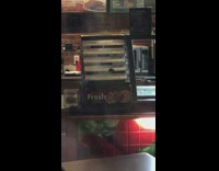 Rat mouse crawls inside subway cookie case