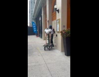 Collab WINY - Man phone call beside ostrich statue on wagon