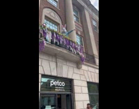 Bunny dance at balcony with Journey song