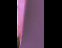 Cat sits by cracked open door filter 