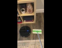 Curling sport wood floors swiffer roomba 