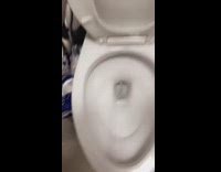 Collab VIBES - Girls flush fish down toilet still alive