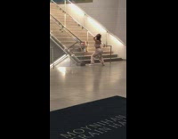 Woman white top dance stairs moynihan station