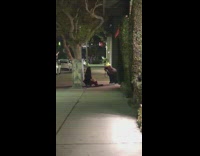 Girl night picture next to tree